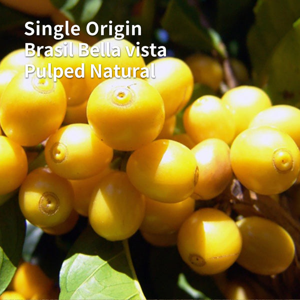 Sold out September Single Origin Brazil Bella Vista Bourbon Amarelo